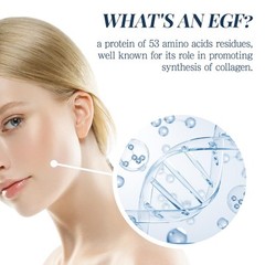 EGF Serum Epidermal Growth Factor 0.33 Fl. Oz. 10ml Fl Oz (Pack of 1)