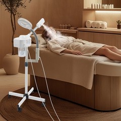 2IN1 Hot Facial Steamer 5X LED Magnifying Lamp Ozone Salon Spa Skin Care
