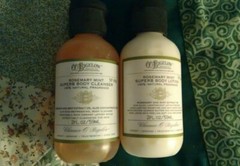 CO Bigelow Rosemary Mint Superb Body Lotion Body Cleanser New! travel size GIFT
