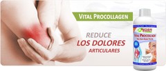 Vital Procollagen 16.9 fl oz. 1 Bottle Natural Energy NEW LOOK